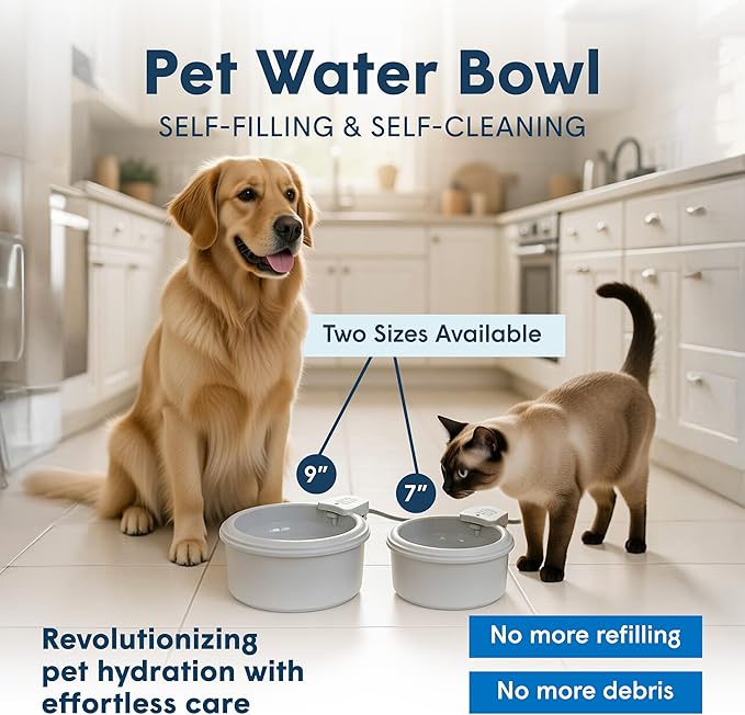 Always Full® 9" Self-Refilling Dog Water Bowl & Bottle Pump Bundle | Self-refilling filtered water with app-enabled hydration monitoring; easily upgradeable to the Always Full® Wall Unit.