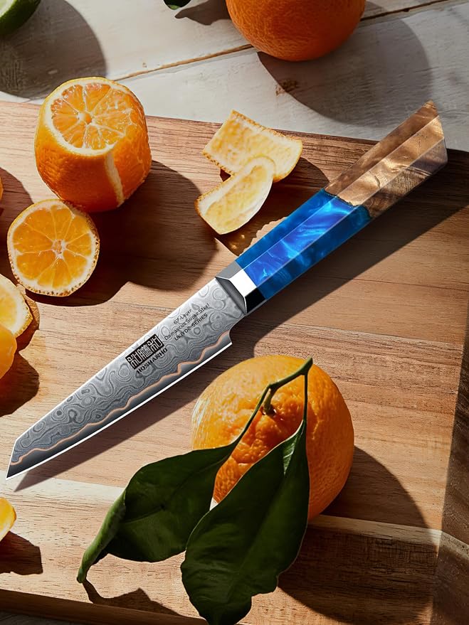 HOSHANHO 4" Damascus Paring Knife, 67-Layer Damascus Steel Fruit Knife | Ultra Sharp Professional Small Kitchen Knives with Ergonomic Blue Resin Stabilized Wood Handle and Wood Gift Box
