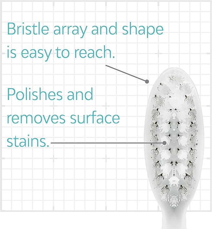 TAO Clean Sonic Electric Toothbrush Replacement Heads (6-Pack) – Replacement Heads for the TAO Clean Electric Toothbrush and Docking Station, White