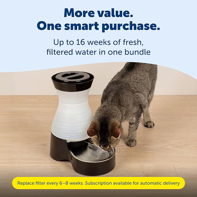 PetSafe Healthy Pet Food & Water Station, Small, 2-Pack Filters | Gravity Food & Water Station, 2 lb food, 64 oz Water, Dishwasher-Safe Stainless Bowl, Extra Filters
