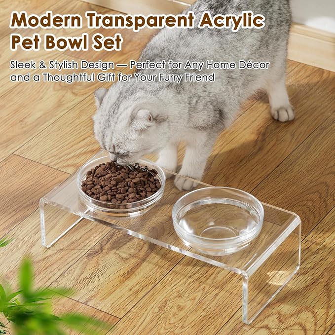 Feoyoho Elevated Acrylic Pet Bowl Stand – Raised Cat & Dog Bowls with 2 Glass & 2 Stainless Steel Bowls, Modern Clear Design, Non-Slip, Easy to Clean, Perfect for Small Pets, 3.75" Tall