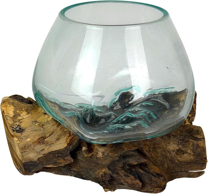 Planter Terrarium with Molten Glass Bowl on Driftwood, 7.5 Inch | Natural Base Varies by Piece, 3.5 Inch Opening, 4 Inch Center Depth, Freestanding for Shelves or Desks