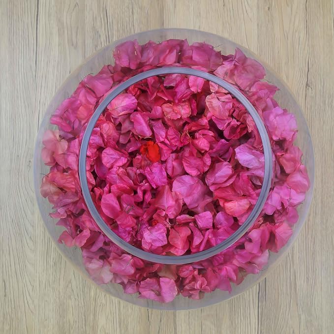 CYS EXCEL Large Glass Bubble Bowl (H-13.5" W-15.5", Approx. 7.4 Gal.) Round Bowl Terrarium Globe Flower Vase Centerpiece for Weddings Events Arrangements
