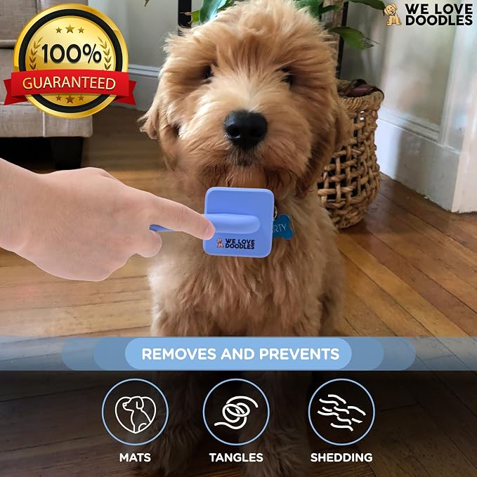 Slicker Brush for Doodles, Detangler Dog Grooming Brush for Delicate Areas, Curly or Dense Coats, Suitable for Puppies, Small and Toy Breeds & Doodles Under 25 lbs (Extra Small)