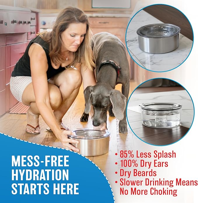 Stainless Steel Dripless Water Bowl with Tritan Plastic Lid – Holds 1 Gal, Reduces Spills & Trails Up to 85%+, Water Bowl for Small Breed Dogs (0-20 lbs), The Original Slobber Stopper