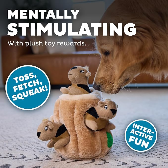 Outward Hound Hide-A-Squirrel Dog Toy – Interactive 2‑in‑1 Plush Puzzle with 3 Squeaky Removable Squirrels, Large