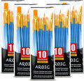 Acrylic Paint Brush Set, 5 Packs / 50 pcs Nylon Hair Brushes for All Purpose Oil Watercolor Painting Artist Professional Kits