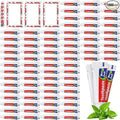 1000 Pcs Mini Toothpaste Bulk Regular Clean Mint Toothpaste for Bad Breath, Helps Freshens Breath, Whitens Teeth Travel Size 0.18oz for Home Hotel Office School Camping