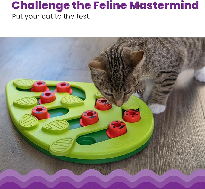Catstages Nina Ottosson Buggin’ Out Puzzle & Play Cat Puzzle Feeder – Interactive Treat Game for Indoor Cats, Level 2 Slow Feeder Enrichment Toy, 13.9" x 11.5"