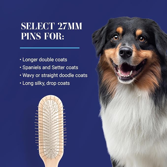 Chris Christensen 20 mm Oblong Pin Dog Brush, Original Series, Groom Like a Professional, Stainless Steel Pins, Lightweight Beech Wood Body, Ground and Polished Tips