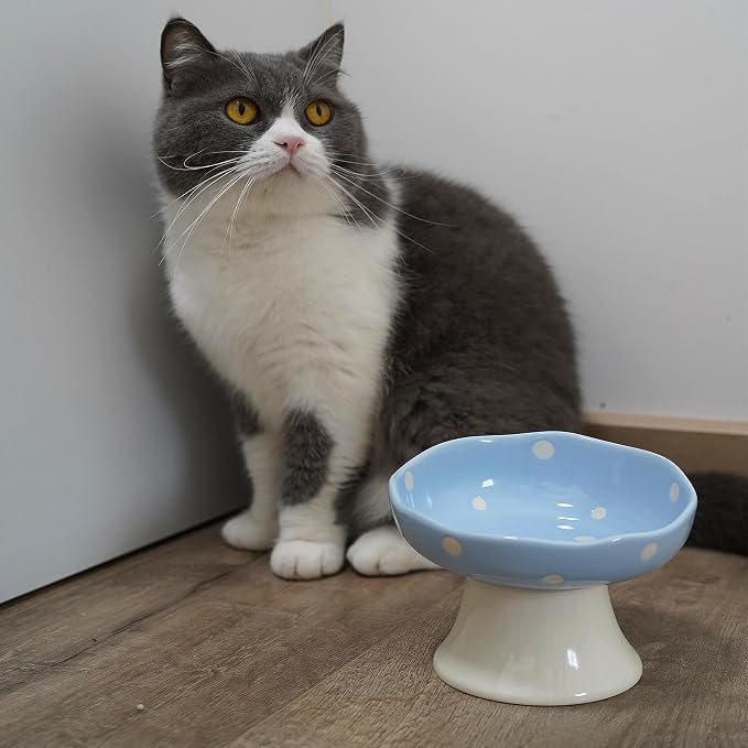 Blue Mushroom Cat Bowl, Elevated Ceramic Bowl for Cats | Cute Mushroom Design, Elevated, Ceramic, Whisker Friendly, Anti Vomiting