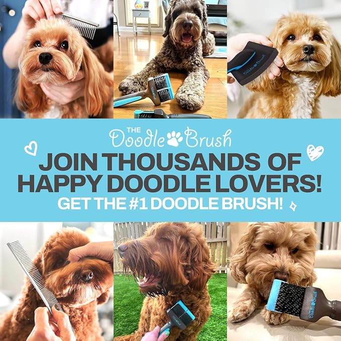 The Doodle Brush, Slicker Brush for Dogs, Dual Head Dog Hair Brushes, Flexible Head Slicker for Dogs, Poodle, Labradoodle, Sheepadoodle, Tangle-Free Grooming, Healthy & Shiny Coat Pet Brushes