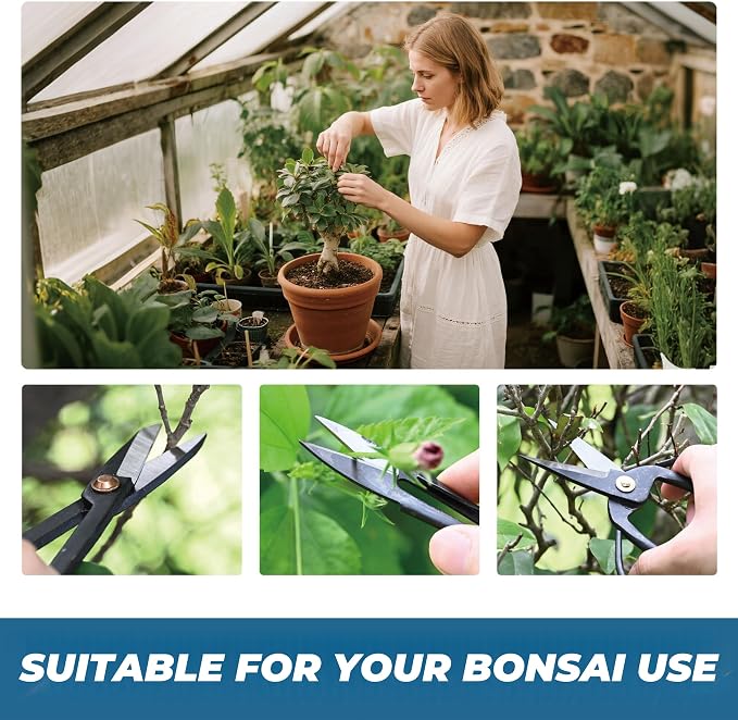 14PCS Bonsai Tools Set, Bonsai Tree Kit, Carbon Steel Trimming Gardening Tool Set, Include Bonsai Scissors, Pruning Shears, Wire Cutters, Jin Pliers, Rake with Spatula Starter Kit