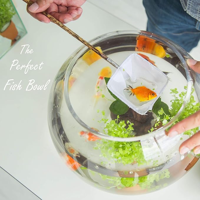 CYS EXCEL Glass Bubble Bowl (H-7.5" W-10, Approx. 1.6 Gal.) Multiple Size Choices Fish Bowl Vase Glass Round Bowl Terrarium Globe Flower Vase Centerpiece