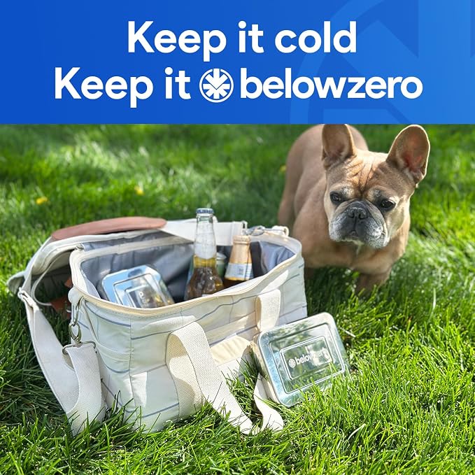 Below Zero Reusable Stainless Steel Ice Pack | Stainless Steel Reusable Ice Pack Keeps Food and Drinks Cold | Ideal for Lunch Bags, Coolers and Travel