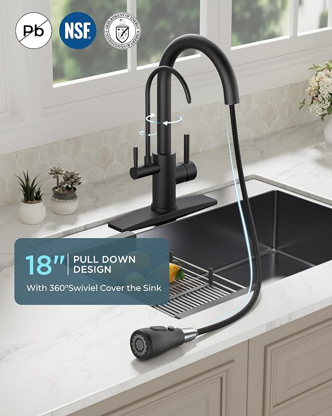 FORIOUS Black Kitchen Faucets with Water Filter, 2 in 1 Stainless Steel Pull Down Sink Faucet and Purified Water Faucet Rustic High Arc Single Handle with Detachable Deck for 1 or 3 Hole