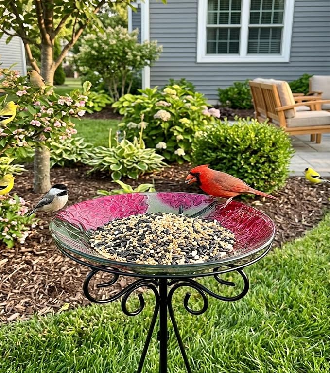 Large Glass Bird Bath with Metal Stand, Hummingbird | 18" Wide Bowl, 3.2" Bathing Depth, Thick Glass Construction, Stable 3-Leg Base, Easy Clean Surface, Garden Decor