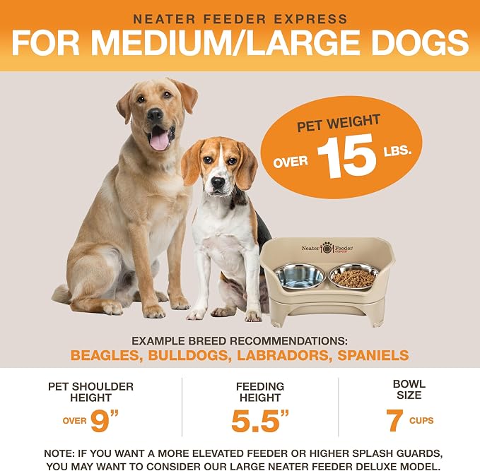 Neater Feeder Express Mess Proof Dog Bowls Elevated for Medium to Large Sized Breed, No Spill Raised Dog Food Bowl Stand, Stainless Steel Food and Water Bowl Set, Pet Dish Feeding Station, Almond