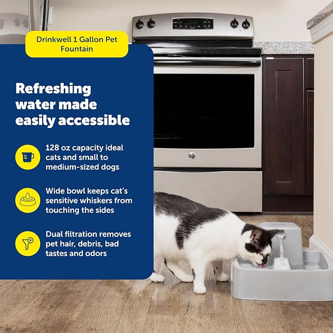 PetSafe Oasys Pet Fountain, 1 Gallon (128 oz), Cats & Small-Medium Dogs | Adjustable Water Flow, Whisker-Friendly Tray, Dishwasher-Safe, Replaceable Carbon & Foam Filters Included