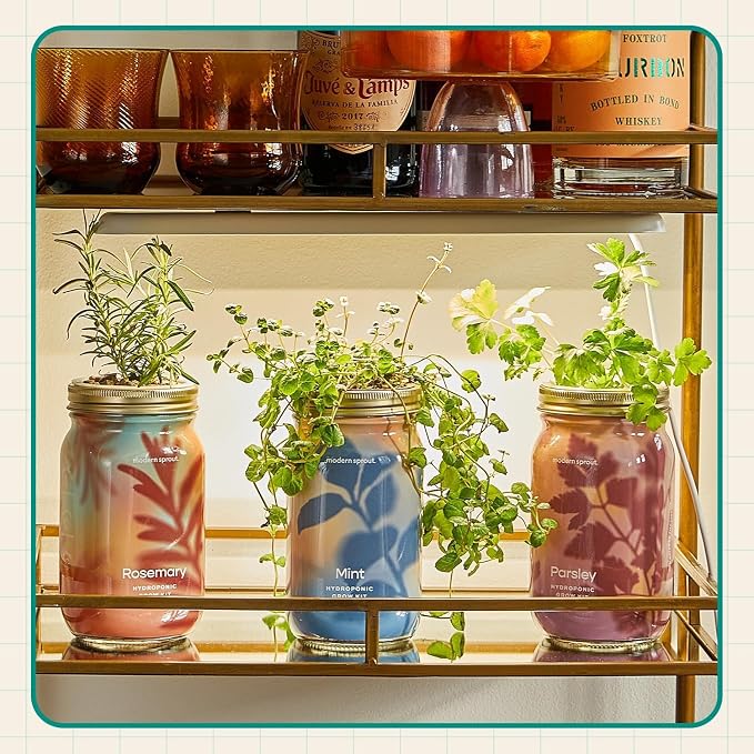 Modern Sprout Garden Jars+Smart Growbar Bundle- Self-Watering Hydroponic Herb Growing Kit with Full-Spectrum LED Grow Light, Organic Herb Seeds, Smart App, Adjustable Brightness, Gift for Mother's Day