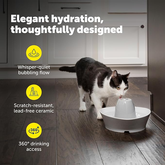 PetSafe Creekside Ceramic Pet Fountain, 60 Oz, 4-Pack Carbon Filters | 60 Oz Capacity, Whisper-Quiet Flow, Includes Carbon Filters, Top-Rack Dishwasher Safe