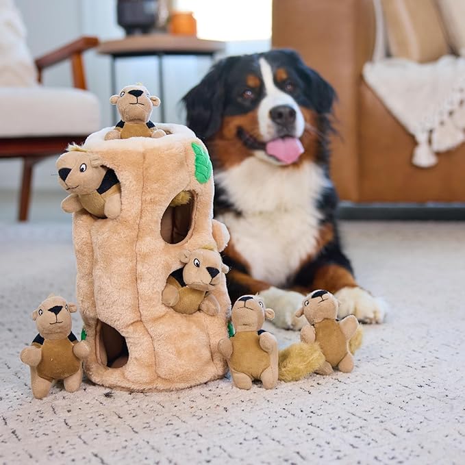 Outward Hound Hide-A-Squirrel Dog Toy – Interactive 2‑in‑1 Plush Puzzle with 6 Squeaky Removable Squirrels, X-Large