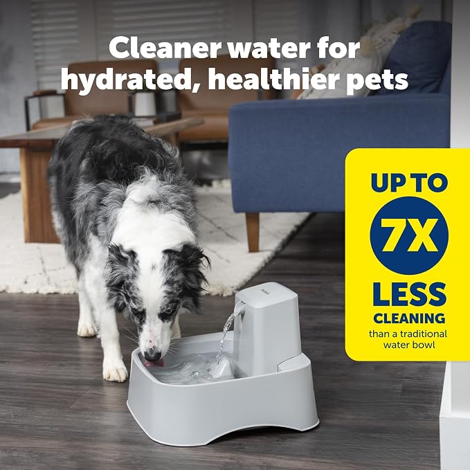 PetSafe Oasys Pet Fountain, 2 Gallon/256 oz, Dogs & Multi-Pet Homes | Adjustable Water Flow, Open-Bowl Design Keeps Water Available in Outages, Dishwasher-Safe, Filter Included