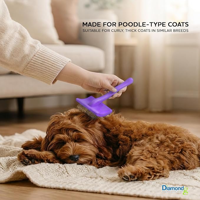 Diamondg Pet Slicker Brush for Dogs & Cats – Professional Grooming Brush for Shedding, Detangling & Coat Maintenance, Gentle Fine Wire Pins, Ergonomic Handle, Purple