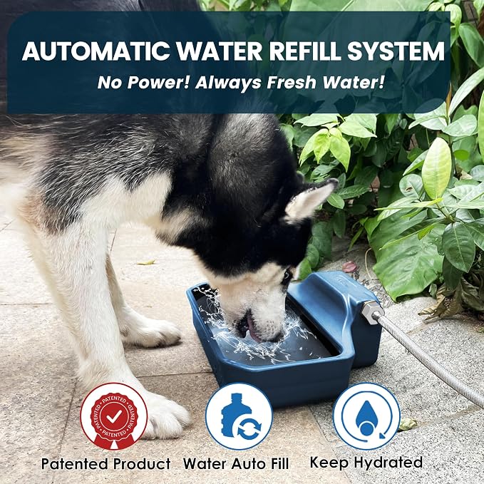 PETIMI Automatic Water Dispenser for Dogs/Cats, 1 Gallon Auto-Fill Dog Water Bowl Dispenser for Indoor/Outdoor, Large Water Feeder for Pets/Livestock, BPA-Free, Wide Mouth, Fits GHT 3/4" Faucet, Blue