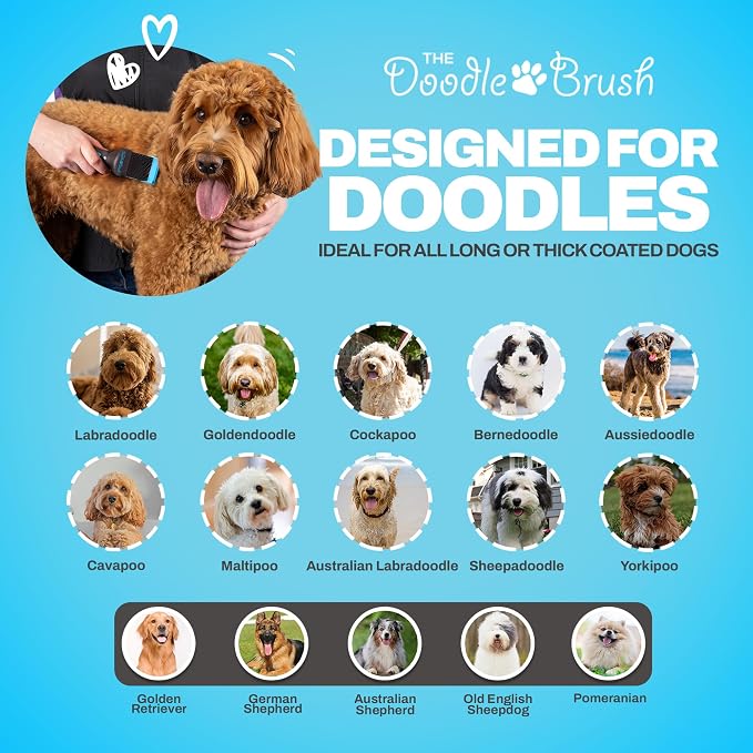 The Doodle Brush, Slicker Brush for Dogs, Single Head Dog Hair Brushes, Flexible Head Slicker for Dogs, Poodle, Labradoodle, Sheepadoodle, Tangle-Free Grooming, Healthy & Shiny Coat Pet Brushes