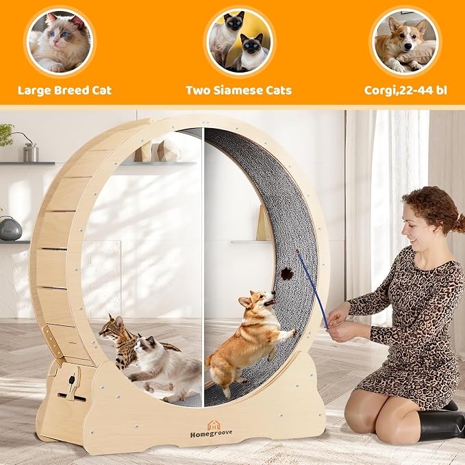 Homegroove XXL Cat Exercise Wheel, 52"/132cm Large Cat Wheel, Solid Wood Cat Treadmill with Integrated Safety Lock, Spine Alignment Design for Large Indoor (XXL, Natural Wood)