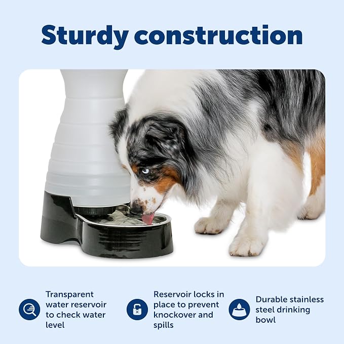 PetSafe Healthy Pet Water Station, 320 oz, Stainless Steel Bowl, Large | Gravity-Fed Pet Water Fountain Keeps Cats or Small Dogs Hydrated, Stainless Steel Bowl Is Dishwasher Safe