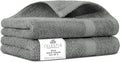 Villa Celestia Cotton Hand Towels Set of 2, 16 x 28, Oeko-TEX Certified, Quick Dry, Grey