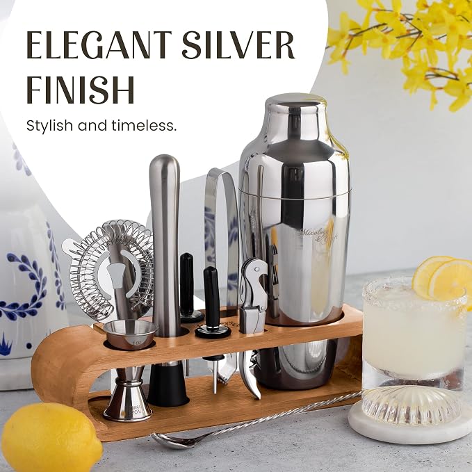 Mixology Cocktail Shaker Set - 10-Piece Cocktail Making Set - Home Bartender Kit in Bamboo Stand with Spoon, Boston Shaker, Other Tools for Drink Mixing, Martini, Mocktail - Gift Set (Silver)