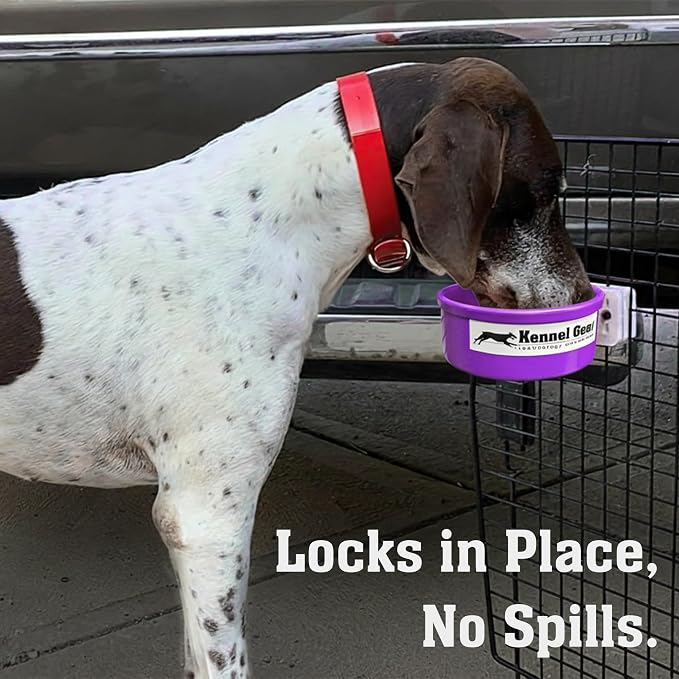Dog Crate Water Bowl No Spill, 20oz Food-Grade Polypropylene Feeder (Purple)
