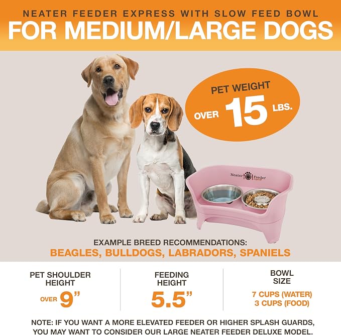 Neater Feeder - Express Model w/Slow Feed Bowl - Mess-Proof Dog Bowls (M/L, Pink) Made in USA – Elevated, No Spill, Non-Tip, Non-Slip, Raised Stainless Steel Food/Water Pet Bowls Aid Digestion