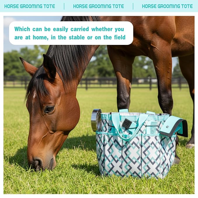Abbylike 12 Piece Horse Grooming Kit with Organizer Tote Bag Brush Sets for Derby Day Show Horses Professional Tools for Care & Massage(Mint Green and Grey)