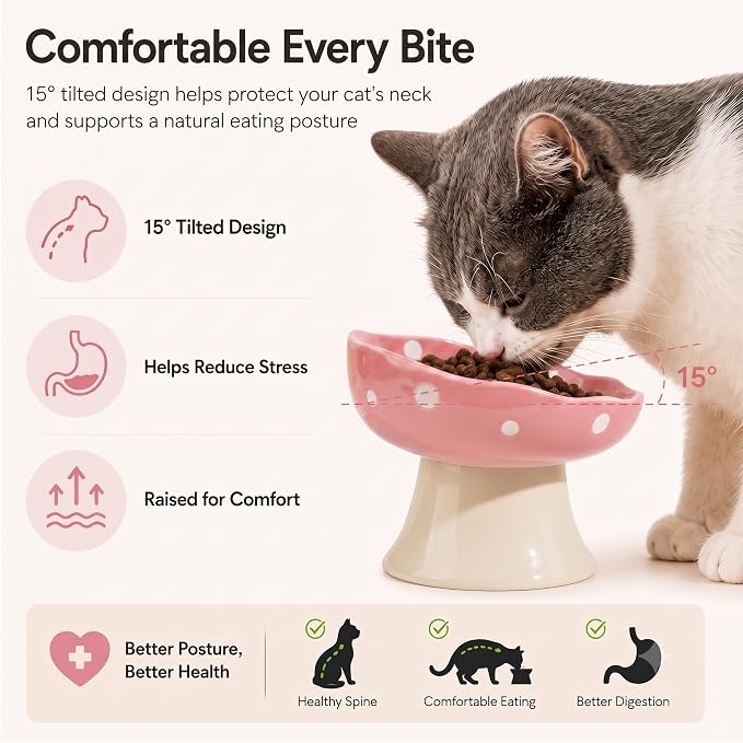 Pink Mushroom Cat Bowl, Elevated Ceramic Feeding Bowl | Elevated, Ceramic, Tilted Design, Whisker-Friendly, Dishwasher Safe, cute