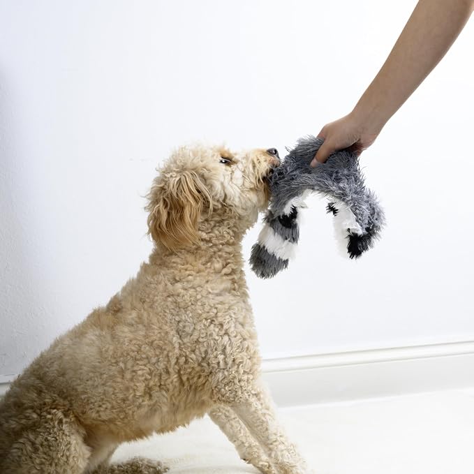 FGA MARKETPLACE Racoon Flat NO Stuffing NO Squeak Plush Dog Toy, Funny Style Will Entertain Your Pet for Hours, Recommended for Small and Medium Dog 21 INCH Long