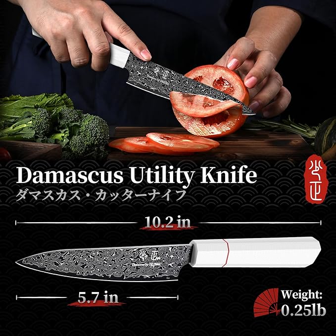 DRGSKL Damascus Kitchen Utility Knife - Japanese VG10 Chef Knife 6 inch | Japanese VG10 Core, Black Anti-corrosion Coating, Damascus Blade, G10 Handle, Gift Box, Wet Edge Grinding Technology
