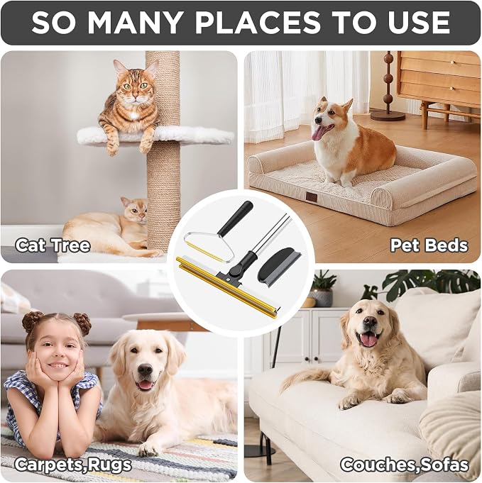 3 in 1 Carpet Rake for Pet Hair Removal, Tool Set of 3, Black | 55" Long Handle, Carpet Scraper, For Dog Cat Hair, For Sofa, Couch, Car, Rug