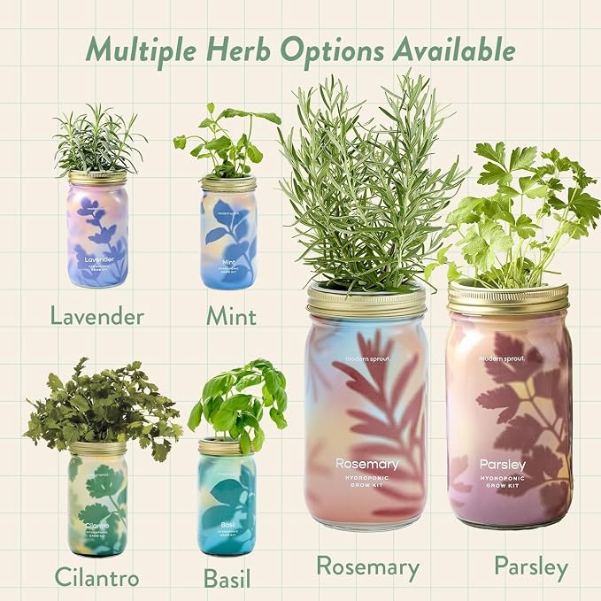Modern Sprout Garden Jar & Herb Stripper Bundle Self-Watering Herb Grow Kit w/Recyclable Mason Jar + 3-in-1 Prep Peeler & Grater Plate - Indoor Gardening - Gift for Mother's Day (Rosemary & Parsley)