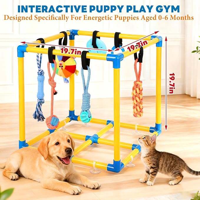 WLLEYAY Puppy Play Gym for Small Dogs 10 Hanging Toys,Interactive Dog Toys | Removable Indoor Jungle Gym,PVC Frame With Adjustable Bungee Straps, Interactive Tug Toys,Dogs Rope Toy To Keep Them Busy