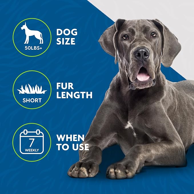FURminator Large Dog Undercoat deShedding Tool for Short Hair, Reduces Loose Hair From Shedding