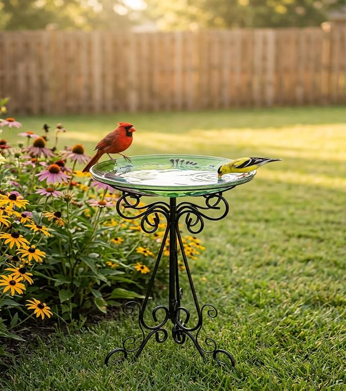 Large Glass Bird Bath with Metal Stand, Dragonfly | 18" Wide Bowl, 3.2" Bathing Depth, Thick Glass Construction, Stable 3-Leg Base, Easy Clean Surface, Garden Decor