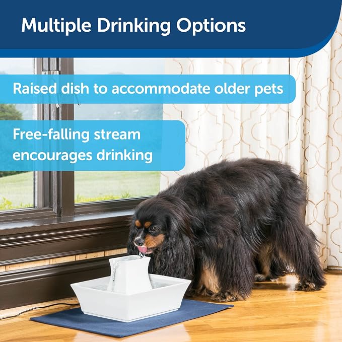 PetSafe Drinkwell Pagoda Fountain - 70 oz Ceramic, White - Filters Incl. | 2 Free-Falling Water Streams Encourage Hydration, Open Bowl Design, Replaceable Carbon & Foam Filters