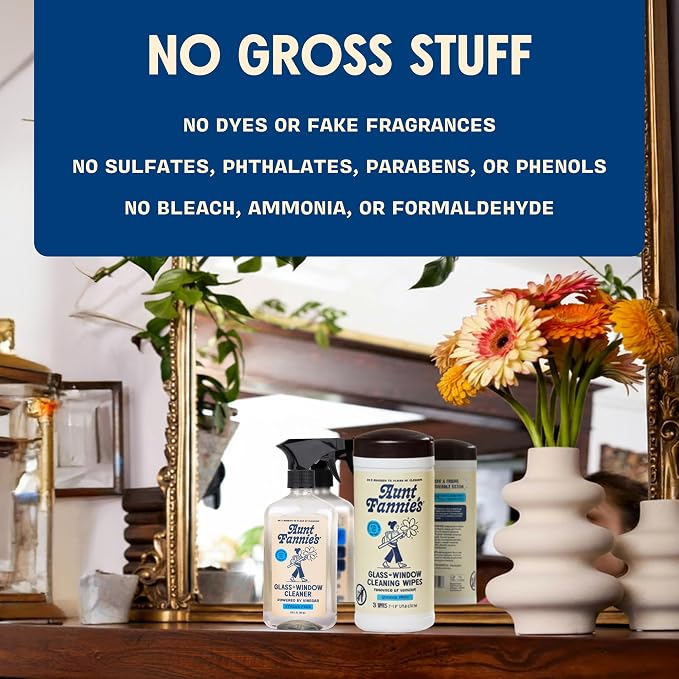Aunt Fannie's Glass & Window Cleaning Bundle, Vinegar Spray and Wipes, Natural Streak-Free Spray, Pack of 3