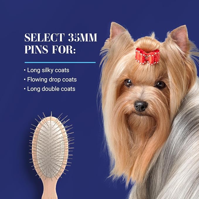 Chris Christensen 35 mm Oval Pin Dog Brush, Original Series, Groom Like a Professional, Stainless Steel Pins, Lightweight Beech Wood Body, Ground and Polished Tips