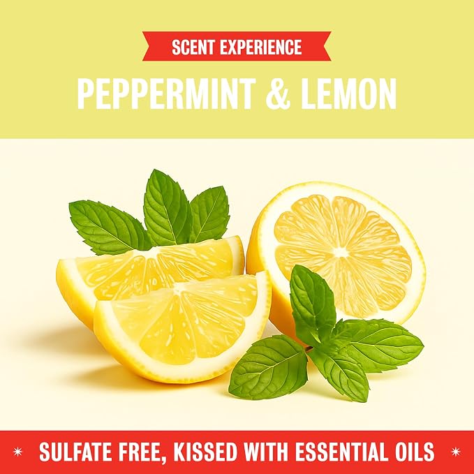 Rebel Green Super Deluxe Dish Soap - Plant-Derived Sustainable Dishwashing Soap - Peppermint & Lemon Scent - 16 fl oz - 2 Pack