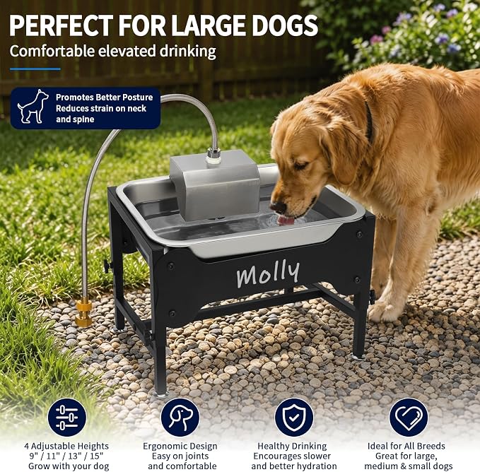 BWOGUE 3 Gal Automatic Dog Water Dispenser, Elevated Outdoor Bowl for Dogs | Automatic Water Dispenser for Dogs, Stainless Steel Pet Waterer, 9/11/13/15 in Stand, Float Valve, Big Dogs Pets Livestock